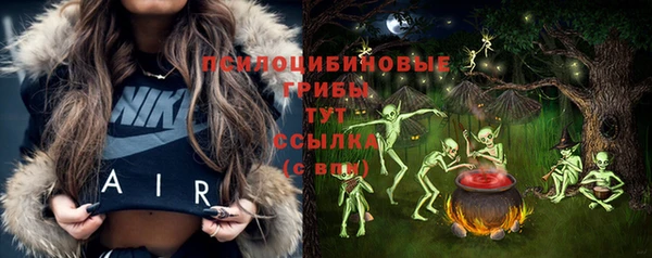 ешки Абаза