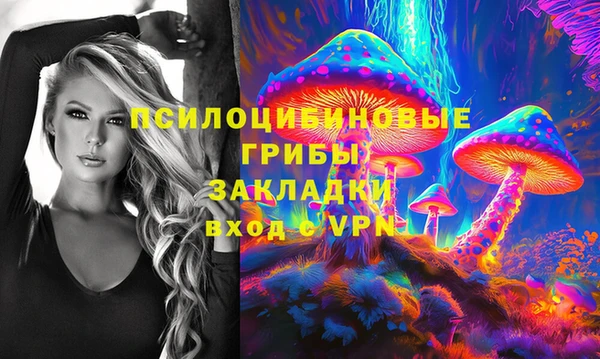 ешки Абаза