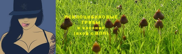 ешки Абаза