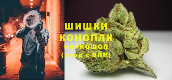 гашик Болохово