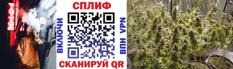 Каннабис White Widow  хочу   Туран 